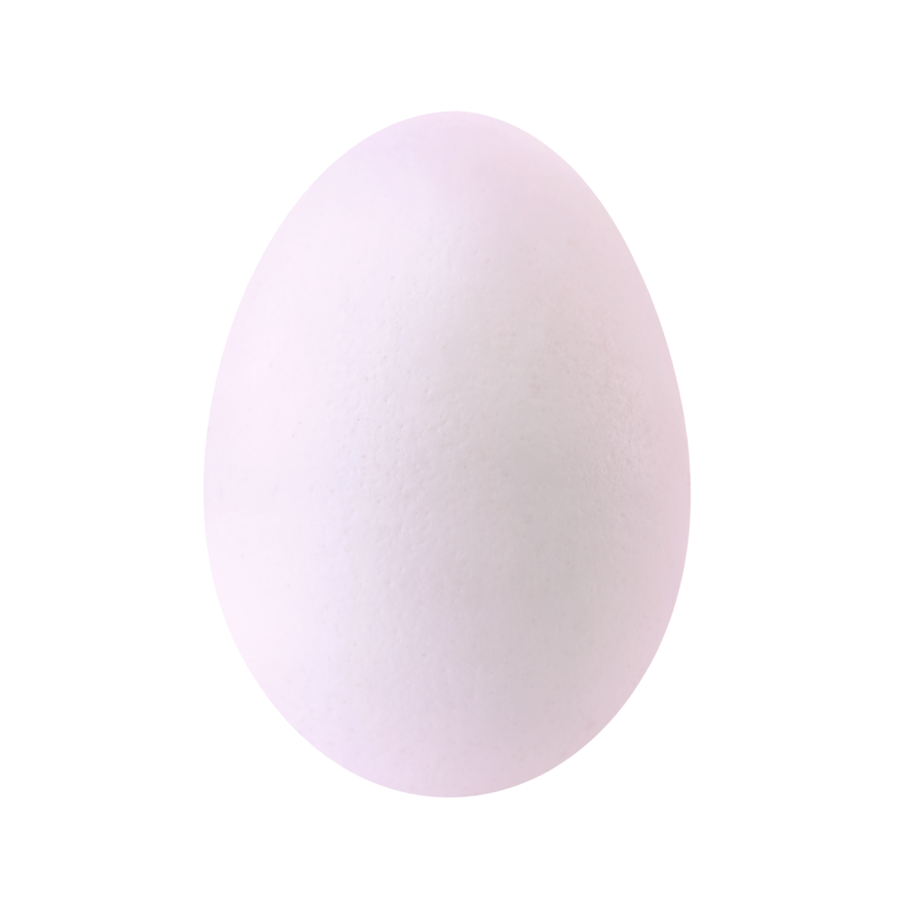 Ola